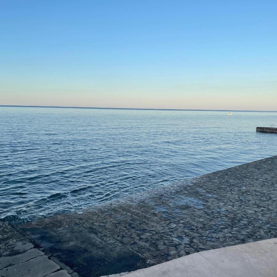 App Robi Apartment Novigrad  Luaran gambar
